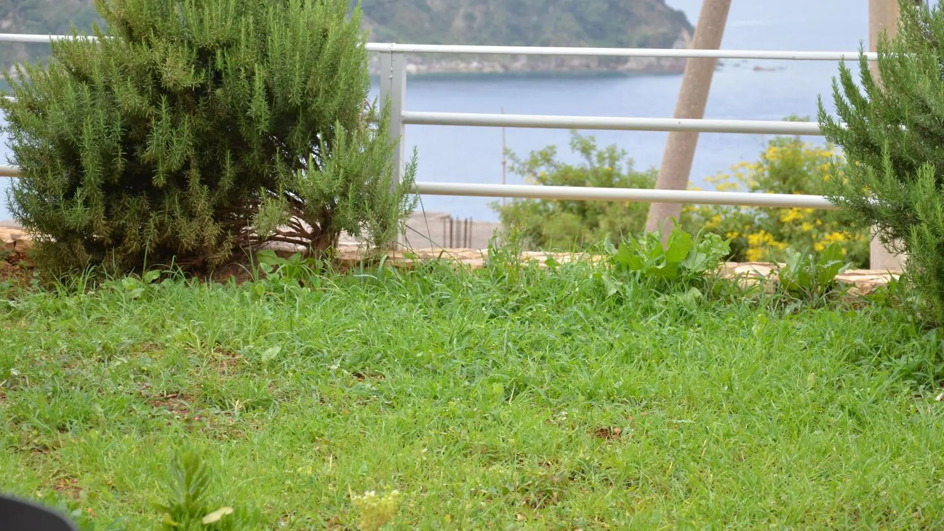 Harmonia Guest House 2 Himarë Albanien